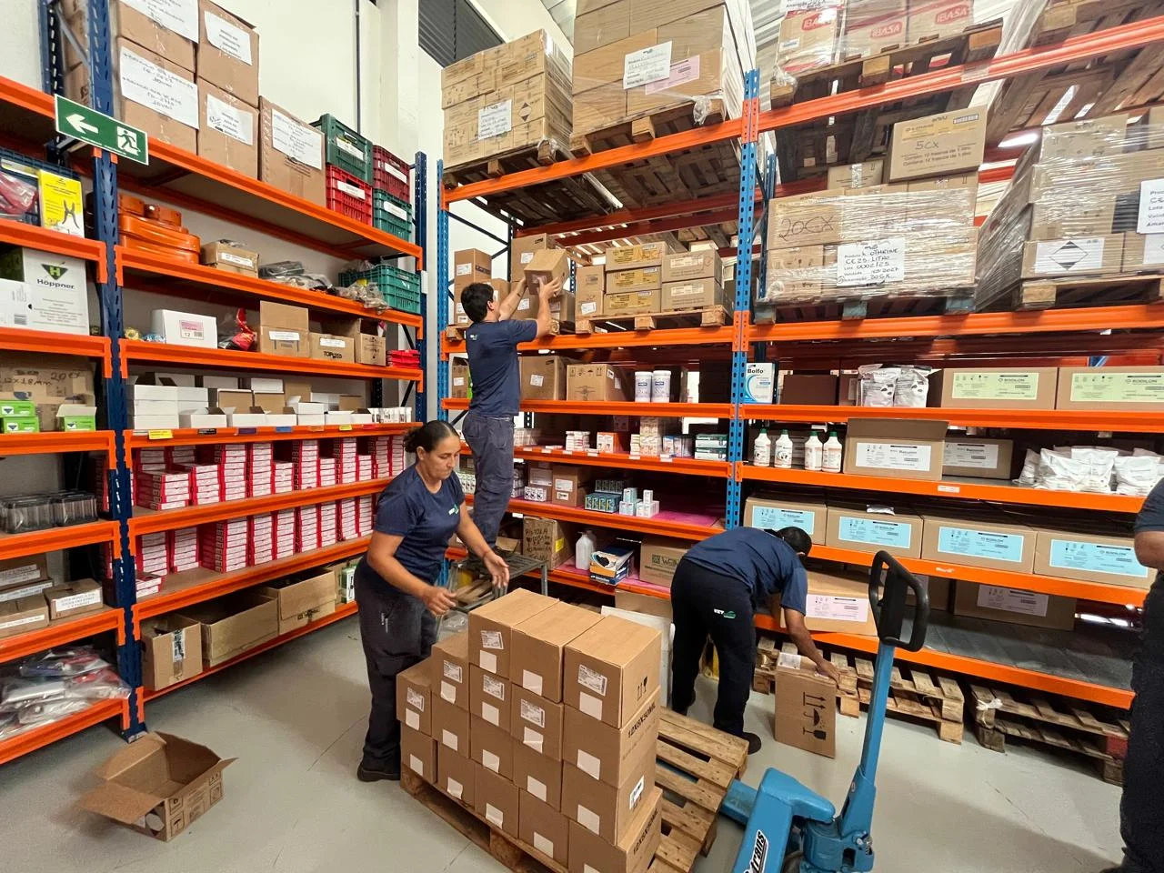 Atendimento técnico VETSEED ao produtor rural no campo