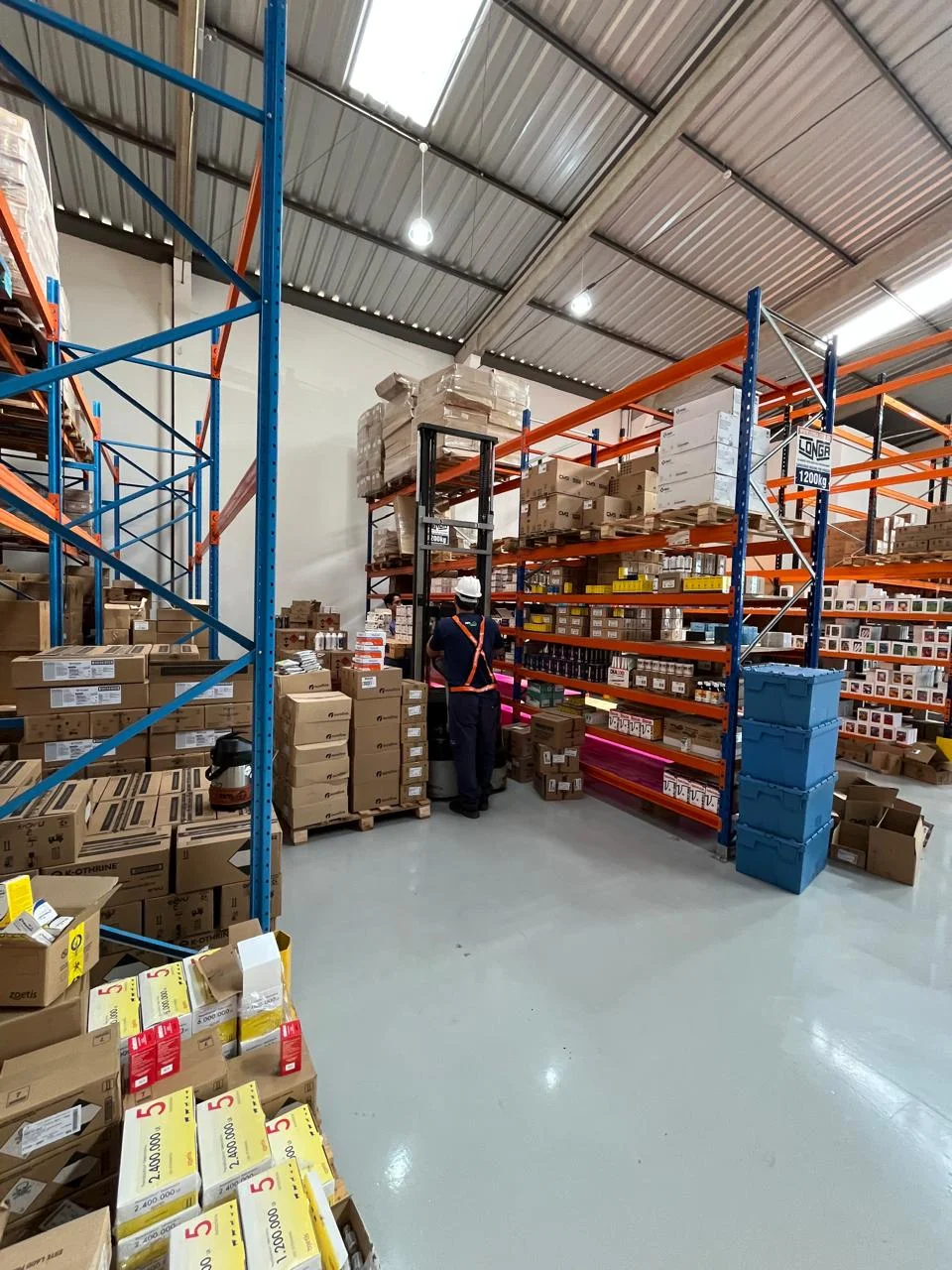 Consultor técnico VETSEED em visita a propriedade rural em MS